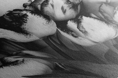 STAMPA SU TELA – TULIPANI CON TOCCO PRIMAVERILE IN BIANCO E NERO - QUADRI BIANCO E NERO - STAMPE E QUADRI