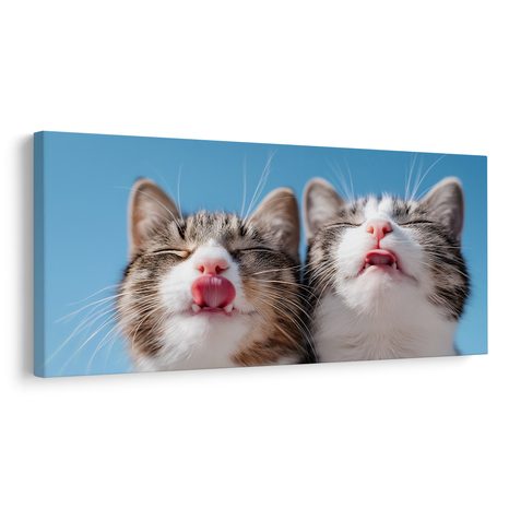 OBRAZ ROZVERNÉ KOČIČÍ DUO V DETAILU - OBRAZY KOČKY - OBRAZY