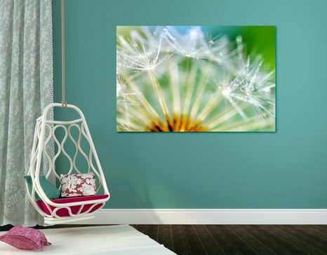 WANDBILD SCHÖNES DETAIL DES LÖWENZAHNS - BILDER BLUMEN - BILDER