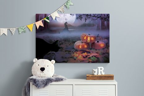 KÉP TÖKÖK TITOKZATOS ERDŐBEN - KÉPEK - 🔥 TELJES KIÁRUSÍTÁS