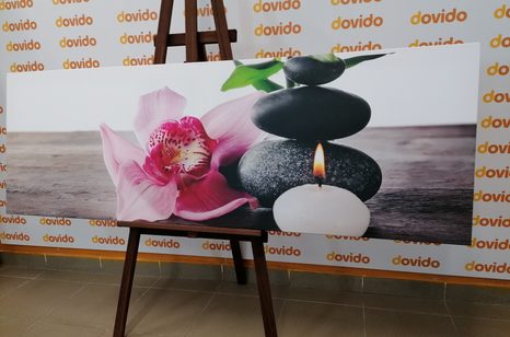 KÉP A WELLNESS-ÖSSZETEVŐK HARMONIKUS ÖSSZJÁTÉKA - FENG SHUI KÉPEK - KÉPEK