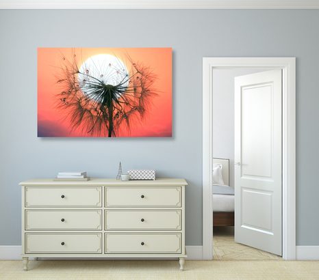 OBRAZ PÚPAVA PRI ZÁPADE SLNKA - OBRAZY KVETOV - OBRAZY