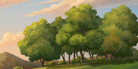 WANDBILD SONNENUNTERGANG ÜBER DER LANDSCHAFT - BILDER VON NATUR UND LANDSCHAFT - BILDER