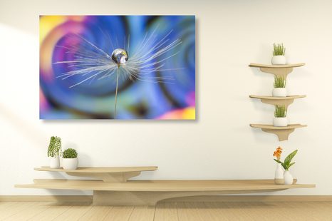 OBRAZ KVAPKA ROSY NA FAREBNOM POZADÍ - OBRAZY KVETOV - OBRAZY