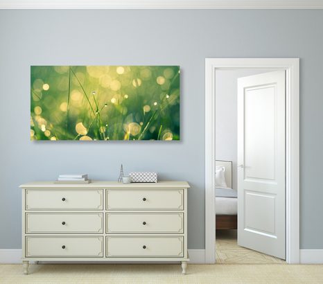 OBRAZ RANNÁ ROSA - OBRAZY PRÍRODY A KRAJINY - OBRAZY