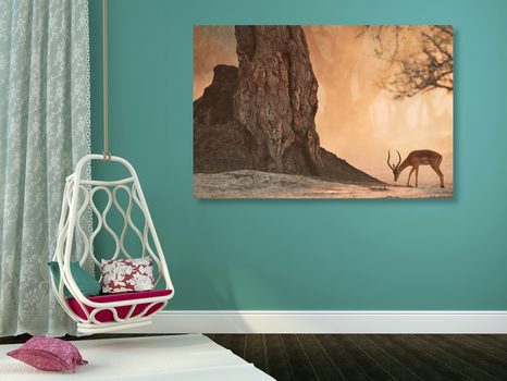 OBRAZ AFRICKÁ ANTILOPA - OBRAZY ZVIERAT - OBRAZY