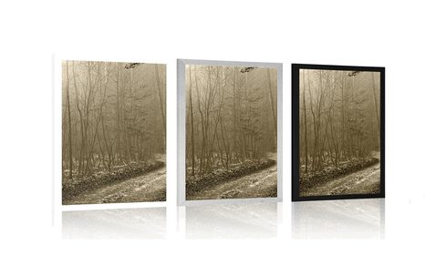 PLAGÁT SÉPIOVÁ CESTIČKA DO LESA - ČIERNOBIELE - PLAGÁTY