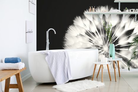 SAMOLEPÍCÍ FOTOTAPETA PAMPELIŠKA V ČERNOBÍLÉM - SAMOLEPÍCÍ TAPETY - TAPETY