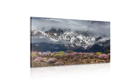 КАРТИНА НА ПЛАТНО – УНИКАЛЕН ПЛАНИНСКИ ПЕЙЗАЖ - КАРТИНИ НА ПРИРОДАТА И ПЕЙЗАЖИ - КАРТИНИ