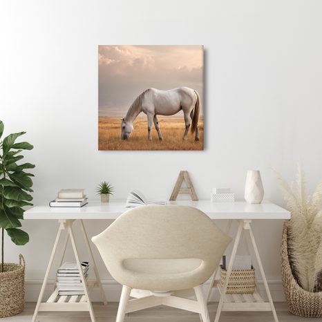 OBRAZ OSAMĚLÝ KŮŇ NA LOUCE - OBRAZY KONĚ - OBRAZY