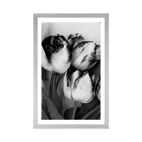 AFFICHE AVEC PASSE-PARTOUT – TULIPES PRINTANIÈRES EN NOIR ET BLANC - NOIR ET BLANC - AFFICHES