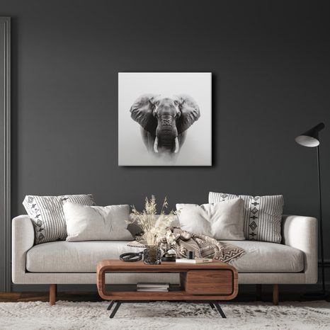 OBRAZ SLONÍ SÍLA A KLID - OBRAZY SLONI - OBRAZY