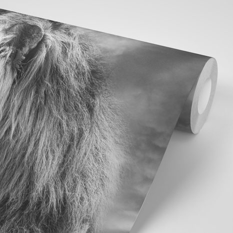 WALLPAPER AFRICAN LION IN BLACK AND WHITE - BLACK AND WHITE WALLPAPERS - WALLPAPERS