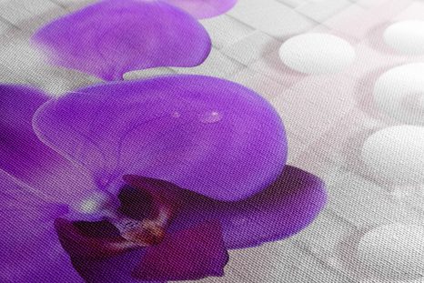 SLIKA ORHIDEJA NA ABSTRAKTNEM OZADJU - SLIKE ROŽ - SLIKE