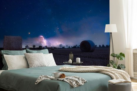 FOTOTAPETA SENO V MĚSÍČNÍM SVITU - TAPETY PŘÍRODA - TAPETY