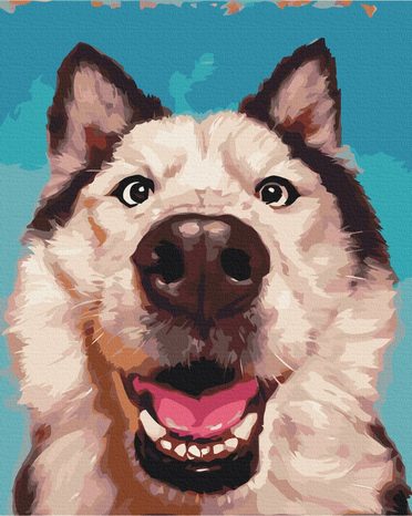 SLIKANJE PO BROJEVIMA SELFIE PSA - ŽIVOTINJE - SLIKANJE PO BROJEVIMA