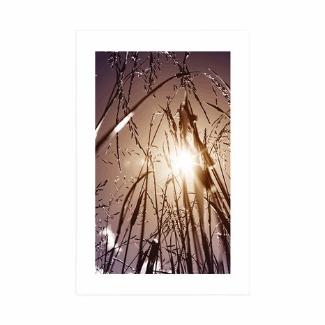 POSTER MIT PASSEPARTOUT FELDGRAS - NATUR - POSTER