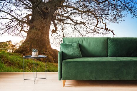 SAMOLEPÍCÍ FOTOTAPETA SYMBIÓZA STROMŮ - SAMOLEPÍCÍ TAPETY - TAPETY