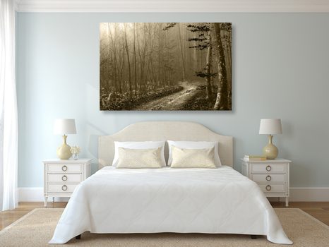 WANDBILD WEG IN DEN WALD IN SEPIA - BILDER VON NATUR UND LANDSCHAFT - BILDER