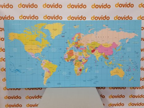 ΕΙΚΌΝΑ ΣΕ ΧΆΡΤΗ ΑΠΌ ΦΕΛΛΌ ΣΕ ΜΠΛΕ ΦΌΝΤΟ - ΠΊΝΑΚΕΣ ΣΤΟ ΦΕΛΛΌ - ΠΊΝΑΚΕΣ