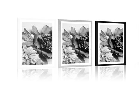 PLAKAT S PASPARTUOM BOŽURI U CRNO-BIJELOM DIZAJNU - CRNO-BIJELE - PLAKATI