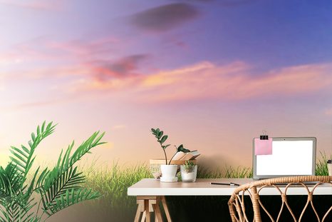 TAPETA ZÁPAD SLUNCE NAD LOUKOU - TAPETY PŘÍRODA - TAPETY