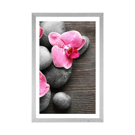 POSTER – COMPOSIZIONE ELEGANTE CON FIORI DI ORCHIDEA - FENG SHUI - POSTER