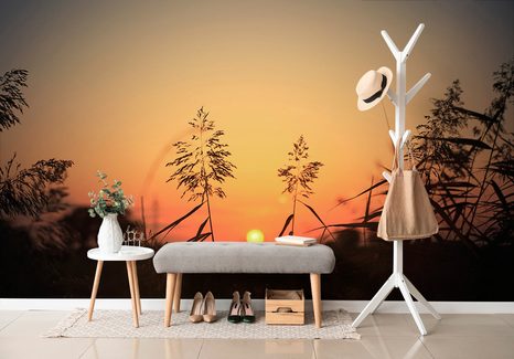 SAMOLEPÍCÍ FOTOTAPETA STÉBLA TRÁVY PŘI ZÁPADU SLUNCE - SAMOLEPÍCÍ TAPETY - TAPETY