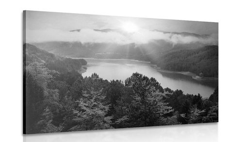CANVAS PRINT RIVER IN THE MIDDLE OF THE FOREST IN BLACK AND WHITE - BLACK AND WHITE PICTURES - PICTURES
