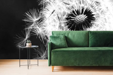 FOTOTAPETA ČERNOBÍLÝ DETAIL PAMPELIŠKY - ČERNOBÍLÉ TAPETY - TAPETY