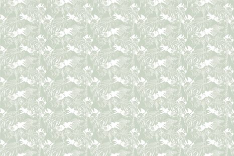 TAPETA NEVŠEDNÁ MONSTERA - TAPETY PRÍRODA - TAPETY