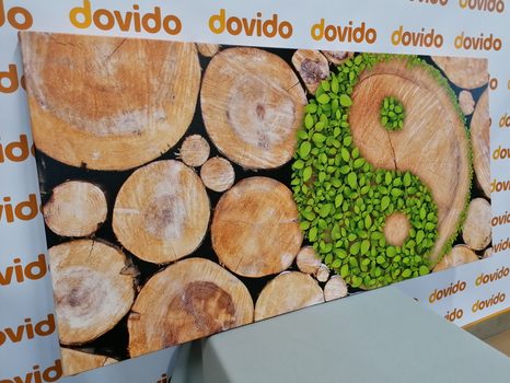 SLIKA JIN IN JANG V EKO IZVEDBI - SLIKE FENG SHUI - SLIKE