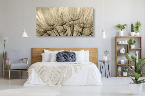 QUADRO SU TELA – SEMI DI SOFFIONE IN VERSIONE SEPPIA - QUADRI BIANCO E NERO - STAMPE E QUADRI