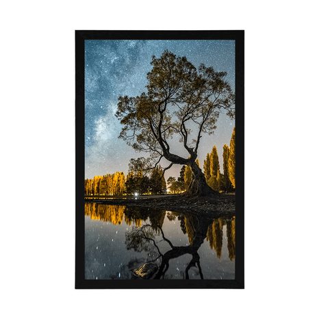 PLAKÁT STROM POD HVĚZDNOU OBLOHOU - PŘÍRODA - PLAKÁTY