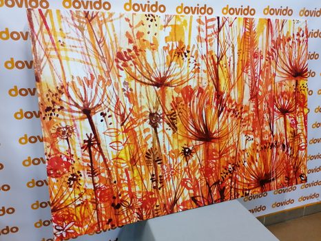 OBRAZ PAMPELIŠKA V ORANŽOVÝCH ODSTÍNECH - ABSTRAKTNÍ OBRAZY - OBRAZY