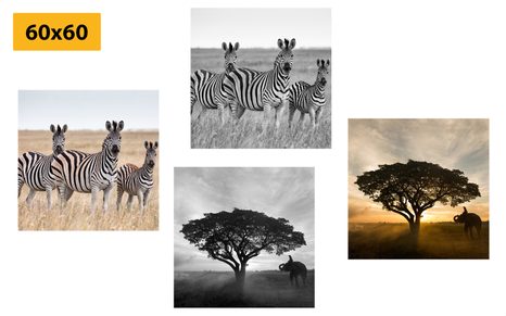 CANVAS PRINT SET ANIMALS LIVING ON THE SAVANNAH - SET OF PICTURES - PICTURES