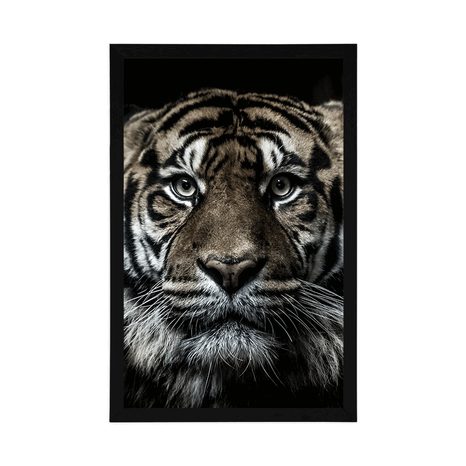 POSTER TIGER - TIERE - POSTER