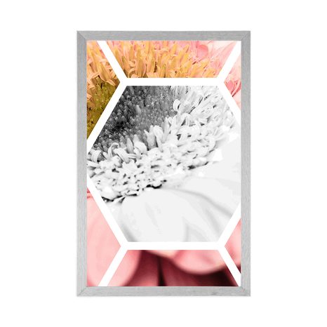 PLAGÁT GERBERA V ŠESŤUHOLNÍKU - KVETY - PLAGÁTY