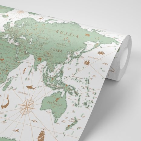 WALLPAPER GREEN MAP - WALLPAPERS - 🔥 TOTAL SALE 🔥