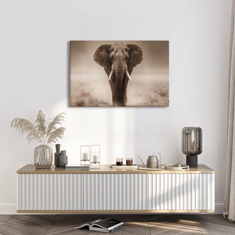 OBRAZ MAJESTÁTNÍ SLON V SAVANĚ - OBRAZY SLONI - OBRAZY