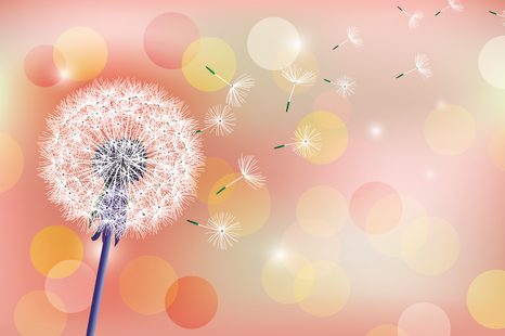 CARTA DA PARATI – SOFFIONE ROSSO SU SFONDO ASTRATTO - CARTA DA PARATI TARASSACO - CARTA DA PARATI