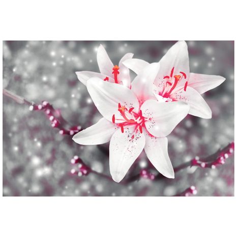 SELF ADHESIVE WALL MURAL SECRET OF THE LILY - SELF-ADHESIVE WALLPAPERS - WALLPAPERS