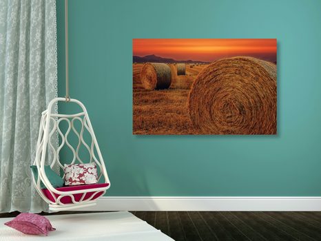 WANDBILD HEUBALLEN - BILDER VON NATUR UND LANDSCHAFT - BILDER