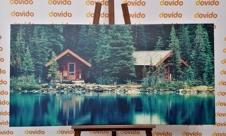 TABLOU PARCUL YOKO ÎN CANADA - TABLOU NATURĂ ȘI PEISAJE NATURALE - TABLOURI