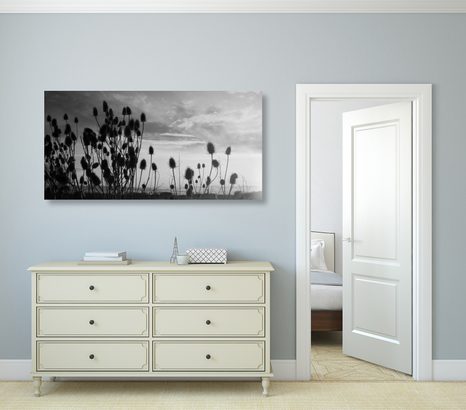 SLIKA TRAVA NA POLJU V ČRNOBELI IZVEDBI - ČRNOBELE SLIKE - SLIKE