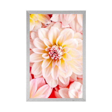 POSTER BLÜTEN DER DAHLIE IN PASTELLFARBEN - BLUMEN - POSTER
