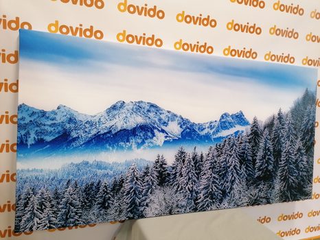 SLIKA ZASNEŽENE GORE - SLIKE NARAVE IN POKRAJINE - SLIKE