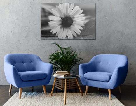 SLIKA PREKRASNA TRATINČICA U CRNO-BIJELOM DIZAJNU - CRNO-BIJELE SLIKE - SLIKE