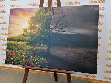 SLIKA DVE PODOBI DREVESA - SLIKE NARAVE IN POKRAJINE - SLIKE