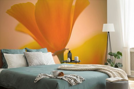 FOTOTAPETA NÁDHERNÁ KVĚTINA - TAPETY KVĚTINY - TAPETY